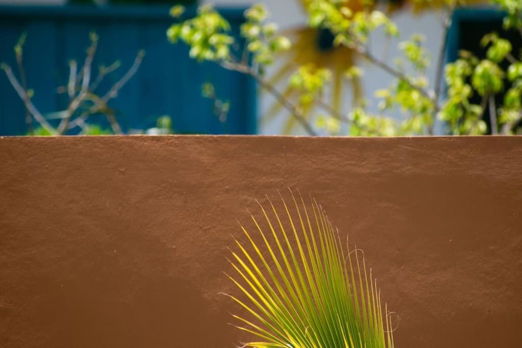 Disfruta En La Casa De Lola / Enjoy At Lolas House Progreso  Buitenkant foto