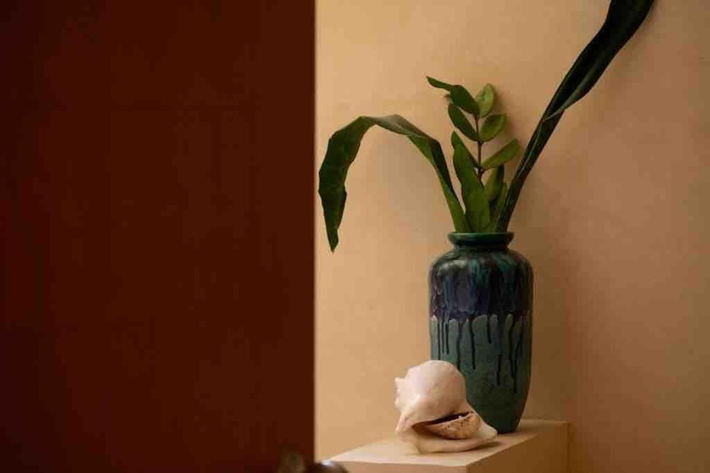 Disfruta En La Casa De Lola / Enjoy At Lolas House Progreso  Buitenkant foto